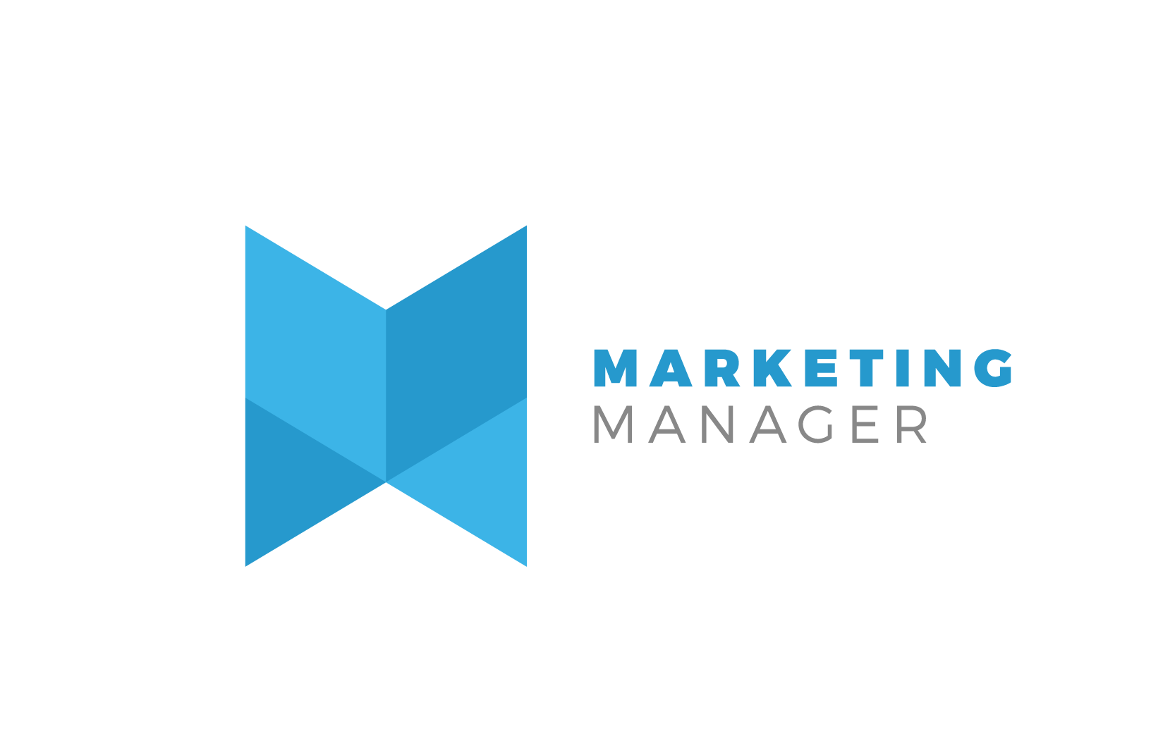 Marketing Manager